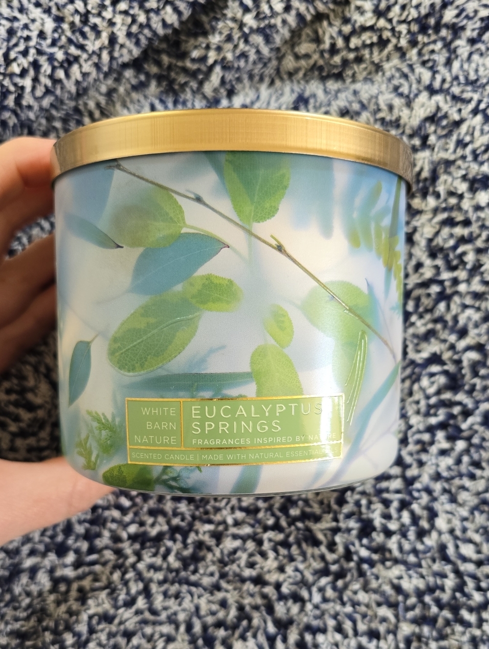 White Barn Eucalyptus Springs Scented Candle